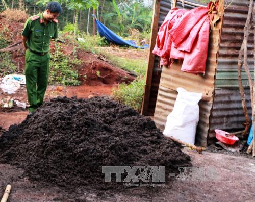 Xử lý vụ 'hô biến' tiêu lép thành tiêu thành phẩm tốt ở Bình Phước